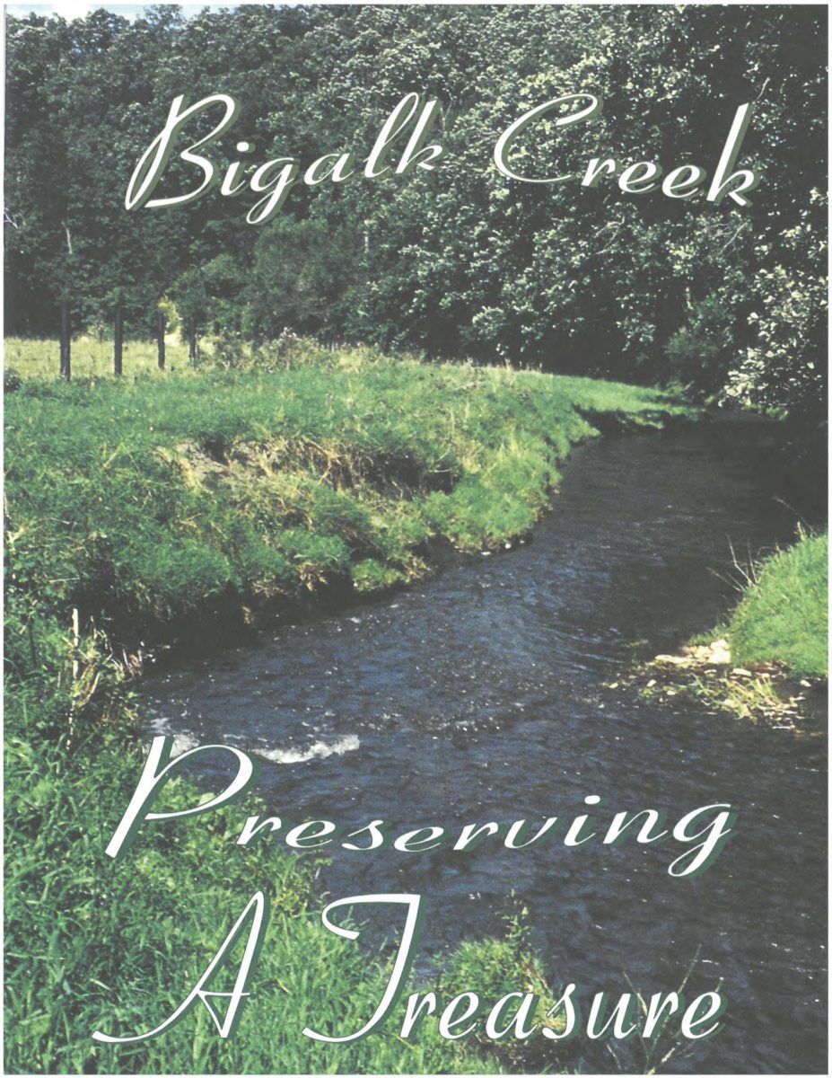 Bigalk Creek – Preserving a Treasure